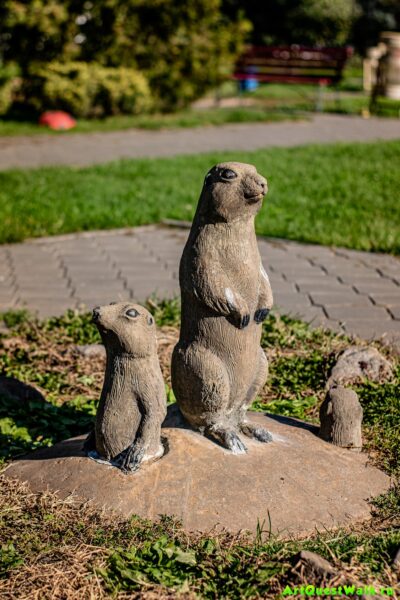 Суслики. Волжский