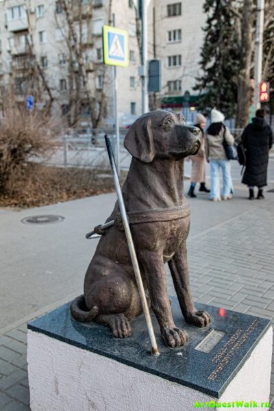 Собака-поводырь